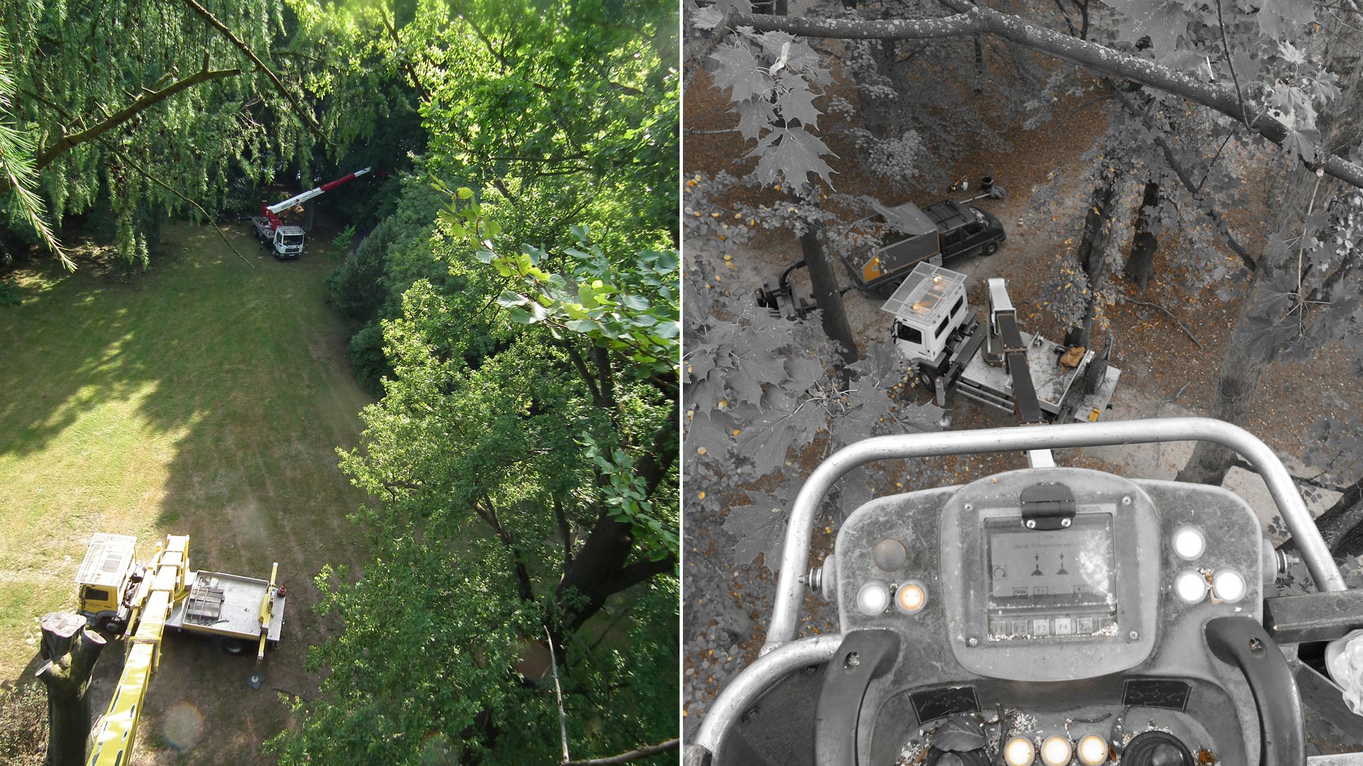 Gefahrenfällung - Baumarbeiten und Gartengestaltung F. Deppner