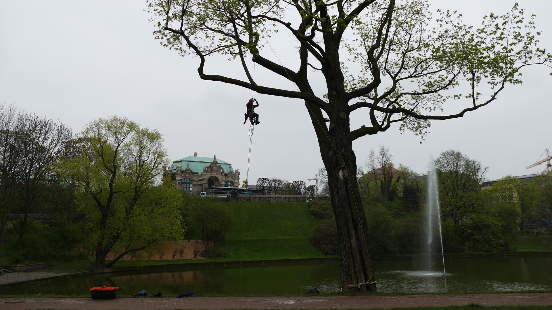 Baumschnitt - Baumarbeiten und Gartengestaltung F. Deppner