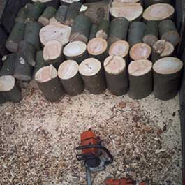 Symbolbild für Dienstleistung Entsorgung und Häckseln von Schnittgut, Abtransport von Stammholz