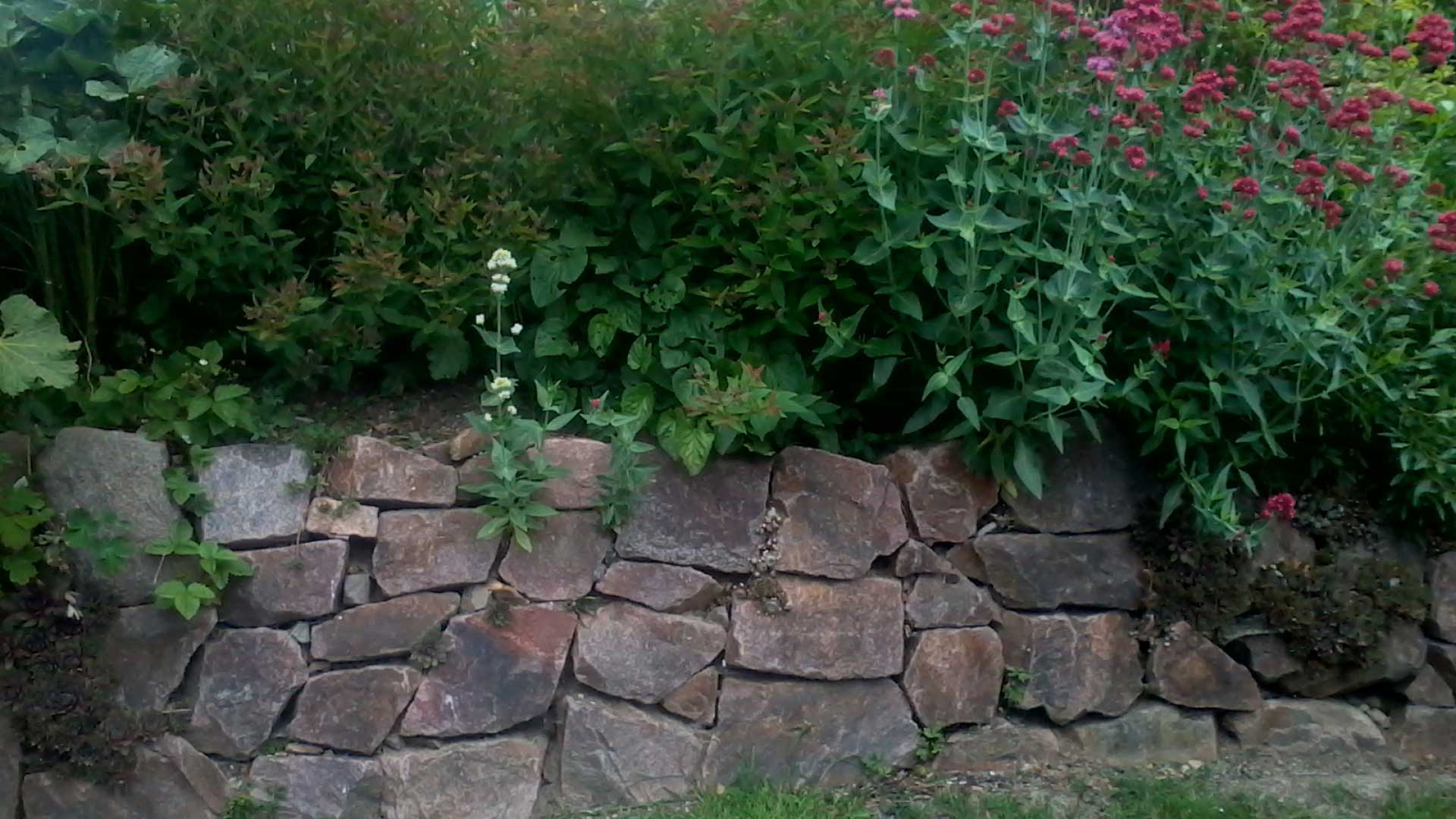 Mauerbau - Baumarbeiten und Gartengestaltung F. Deppner